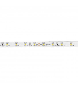 RIBBON/ROLL LED STRIP 12W/m  24V 5 mt