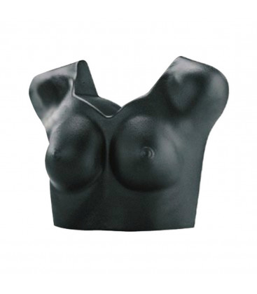 BUSTO EXPO INTIMO DONNA PORTA REGGISENI NERO COSTU