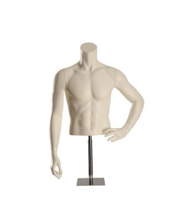 TORSO BUSTO UOMO CON BASE