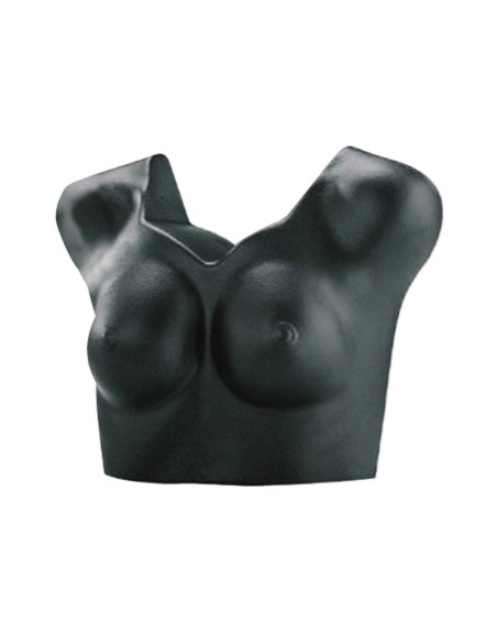 BUSTO EXPO INTIMO DONNA PORTA REGGISENI NERO COSTU MI T-SHIRT