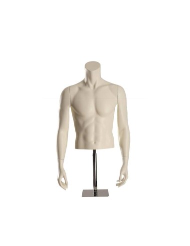 TORSO BUSTO UOMO CON BASE
