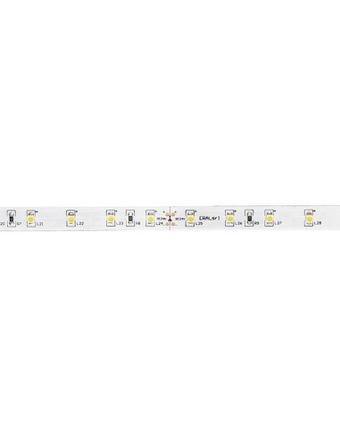 RIBBON 5mt 3000K 12W/m 24V