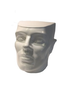 DISPLAY ESPOSITORE UOMO PER OCCHIALI TESTE VARI