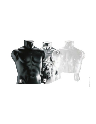 3/4 BUSTO TORSO UOMO PER CAMICIA T-SHIRT INTIMO